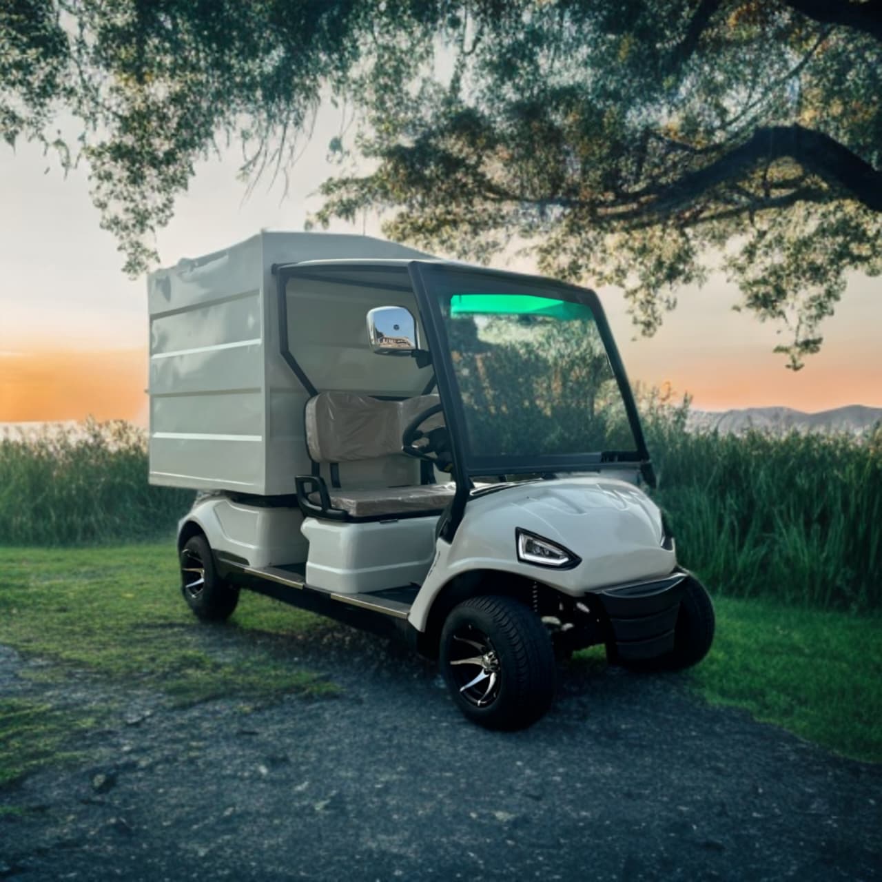 Electric utility golf cart with rear cargo deck